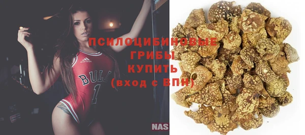 МДПВ Пролетарск