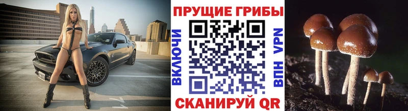 Псилоцибиновые грибы GOLDEN TEACHER  Меленки 